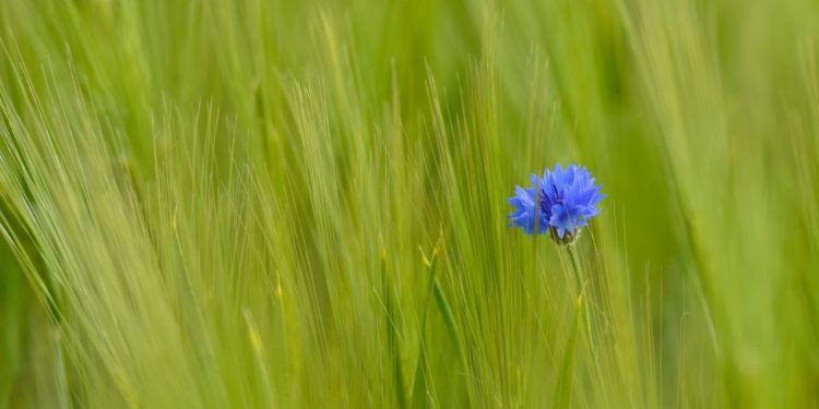 Va sumando adeptos la rebeldía fiscal de este Verano del 2018