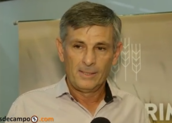 El chaqueño que cosechó el trigo primicia pide políticas para los pequeños productores