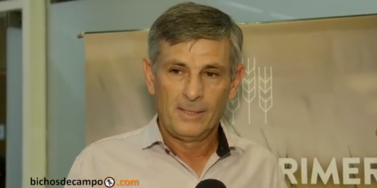 El chaqueño que cosechó el trigo primicia pide políticas para los pequeños productores