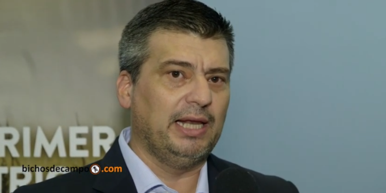 Chaco se ilusiona con un nuevo puerto y la recuperación del algodón