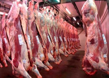 Vuelan las exportaciones de carne, que ya superan el 20% de la oferta