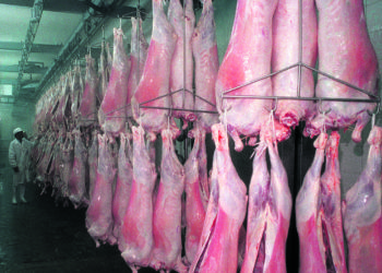 El tiempo no pasa para el cordero: Los frigoríficos lo pagan al mismo precio que el año pasado