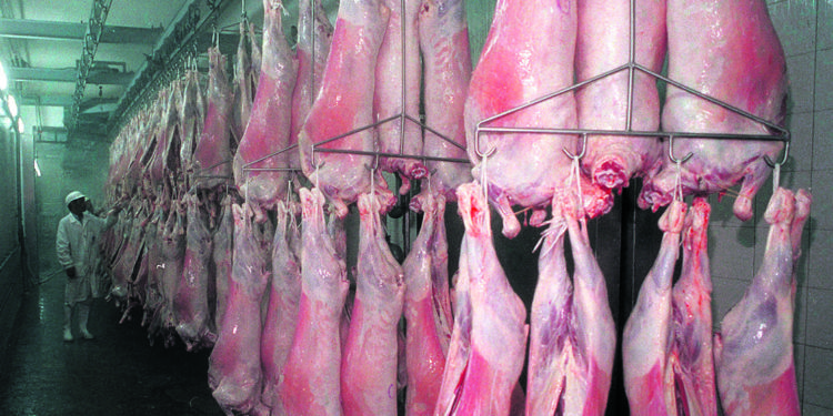 El tiempo no pasa para el cordero: Los frigoríficos lo pagan al mismo precio que el año pasado