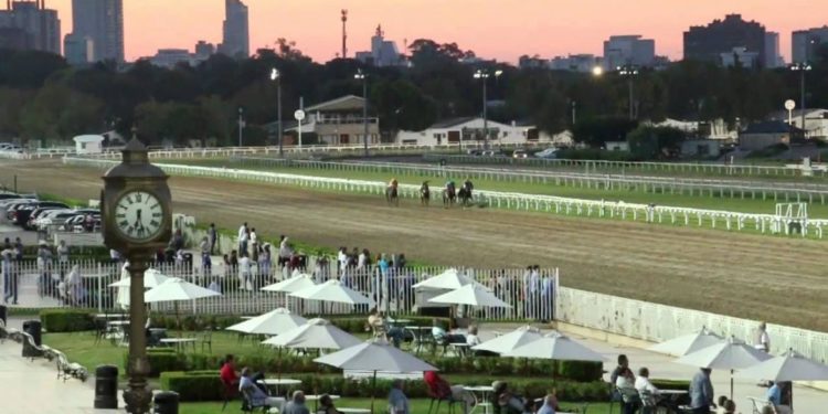 Hay dos casos de Entomatitis Vesicular, la enfermedad que se confunde con aftosa, en el Hipódromo de Palermo