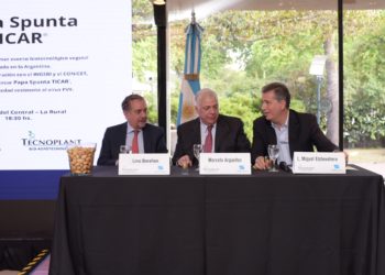 Lanzaron oficialmente la papa transgénica argentina que resiste a un virus