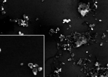 Quieren utilizar nano-partículas de plata o cobre para el control de enfermedades de la soja