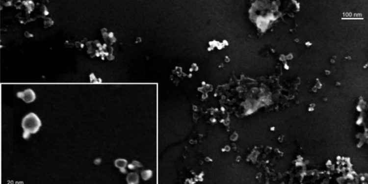 Quieren utilizar nano-partículas de plata o cobre para el control de enfermedades de la soja