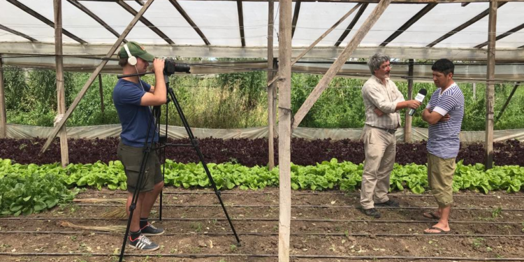 Las dichas y pesares de los quinteros bolivianos que lograron vender sus verduras al Hotel Hilton