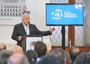 Santa Fe tiene un plan: Busca aumentar 85% la producción de terneros y un “estandar único” para los frigoríficos