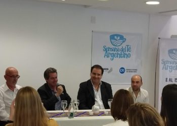 Producimos “el té más austral del mundo”, pero no lo sabemos ni lo consumimos