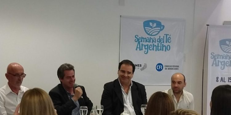 Producimos “el té más austral del mundo”, pero no lo sabemos ni lo consumimos