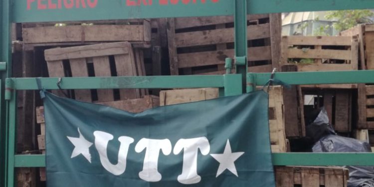 Una buena política: Los pequeños productores venden verdura al Estado para los programas sociales