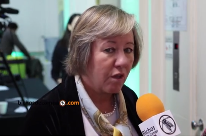 El caso Mondragón, en el País Vasco: “No les metemos el chip desde chiquitos sino que vivimos en cooperación”