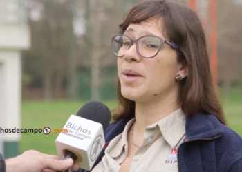 Silvana Monteverde: “La salida al mercado de un material forestal puede llevar hasta 15 años”