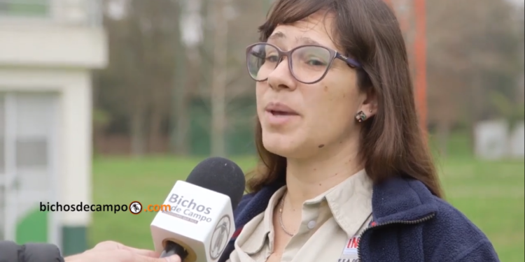 Silvana Monteverde: “La salida al mercado de un material forestal puede llevar hasta 15 años”