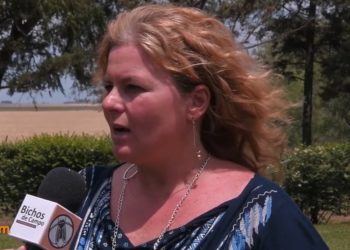 Celina Kaseta, de Syngenta: “En el último año se empezó a discutir todo el modelo de agricultura que tenemos”