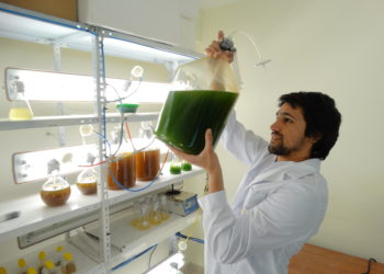 Un equipo de Agronomía, detrás del sueño de limpiar el Riachuelo usando microalgas