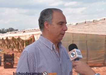 Daniel Galeano, de La Moraleja: “Como pagamos en blanco, tenemos menos oportunidades para captar personal”