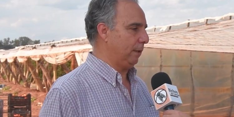 Daniel Galeano, de La Moraleja: “Como pagamos en blanco, tenemos menos oportunidades para captar personal”