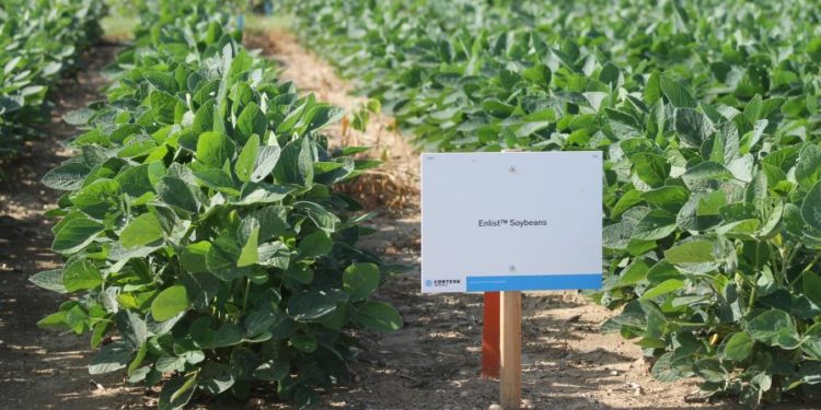 Irrumpe la tecnología Enlist en los principales países productores de soja, menos en la Argentina