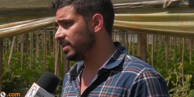 Esteban Serra: “Hay 10 mil hectáreas hortícolas en el Gran La Plata y el acceso a la tierra es un problema”