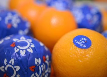 El ingenio Ledesma invierte cade vez más fuerte en el  negocio de la fruta