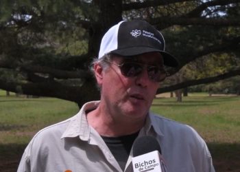 Leonardo Galetto, del Conicet: “Hay pocas posibilidades de que la biodiversidad de insectos se mantenga en la soja”