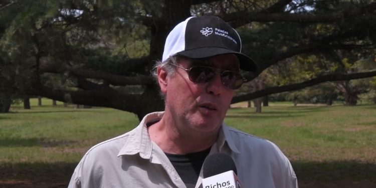 Leonardo Galetto, del Conicet: “Hay pocas posibilidades de que la biodiversidad de insectos se mantenga en la soja”