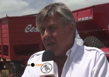 Néstor Cestari: “Sería importante que antes de la cosecha gruesa aparezcan los créditos”