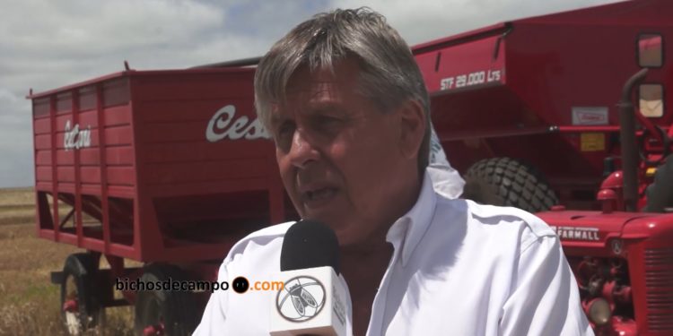 Néstor Cestari: “Sería importante que antes de la cosecha gruesa aparezcan los créditos”