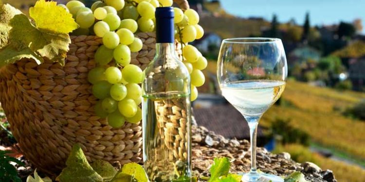 El caso CAPEL: Una cooperativa chilena de mil productores pequeños que produce Pisco
