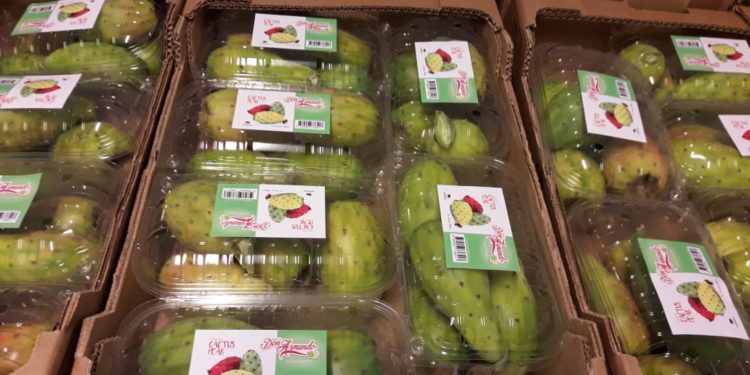 Ni Sandokan se animó a tanto: Una carga de tunas de Santiago del Estero partió a la conquista de Malasia