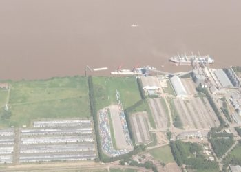 Al final, en 2018 el sector agrícola no aportó tan pocas divisas como se temía por la sequía