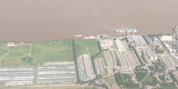 Al final, en 2018 el sector agrícola no aportó tan pocas divisas como se temía por la sequía