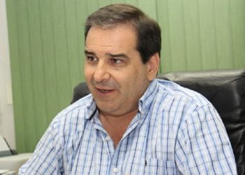 José Luis Garay: “En la Argentina producimos el té más austral del mundo”