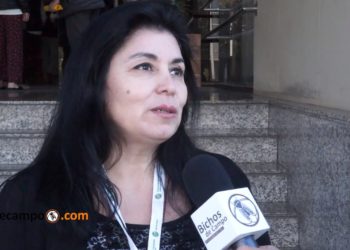 ¿Alimentar la piel?: Una Pyme elabora cosméticos a partir de productos orgánicos