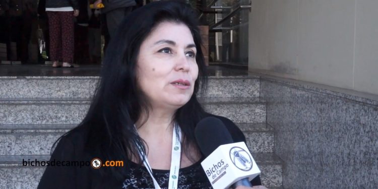 ¿Alimentar la piel?: Una Pyme elabora cosméticos a partir de productos orgánicos