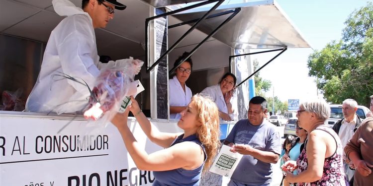 Un operativo para evitar los ‘mercachifles’ en la principal cosecha de la estepa patagónica: la de corderos