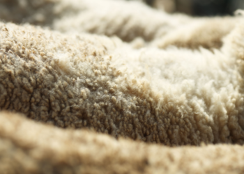 La crisis del cuero persigue a Macri hasta Santa Cruz: Los productores de ovinos también reclamaron por las retenciones