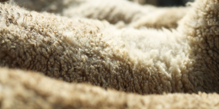 La crisis del cuero persigue a Macri hasta Santa Cruz: Los productores de ovinos también reclamaron por las retenciones