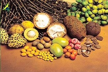 Stevia, acaí, salame de llama, quesillo y wakame: Nuevos y raros alimentos para el menú de los argentinos