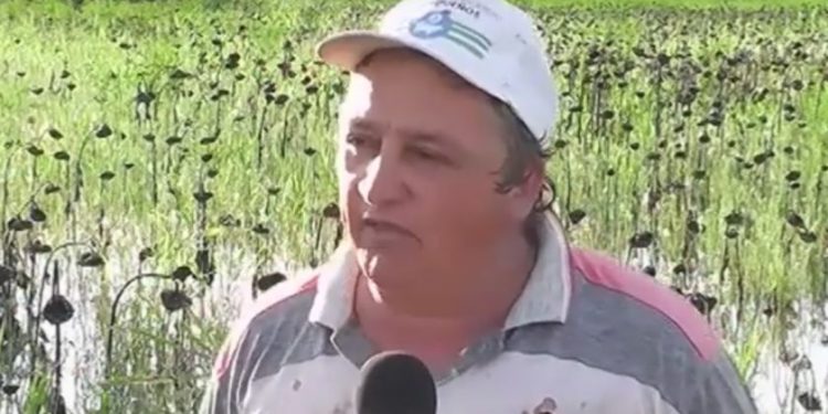 ¿Por qué se queja Darío? Según un estudio, los productores del norte también están inundados de impuestos