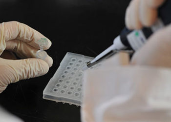 Por la Conabia ya pasaron 17 proyectos de edición génica