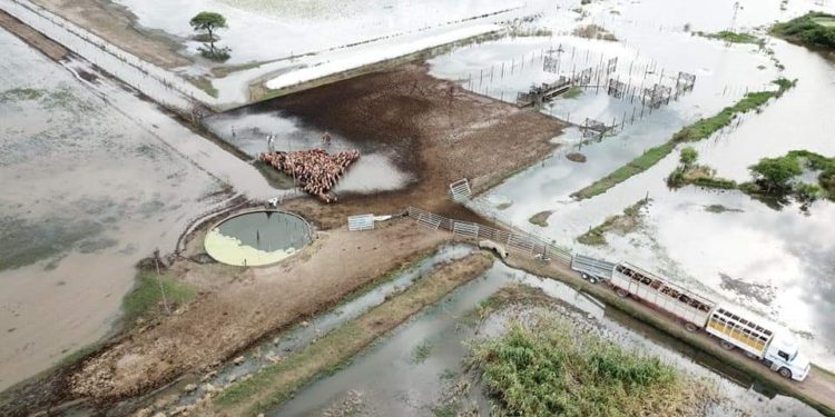 El fondo de Emergencia Agropecuaria quedó desactualizado y desde 2009 se sub-ejecuta