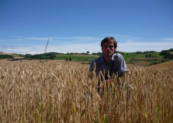 Fernando Oreja: Con tanta lluvia también crece la competencia de las malezas