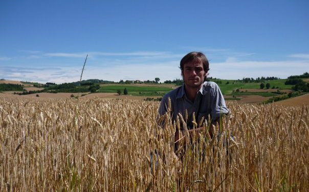 Fernando Oreja: Con tanta lluvia también crece la competencia de las malezas