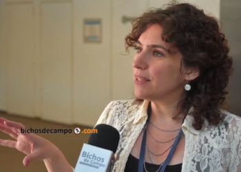 María Eugenia Segretin: “En la Argentina la regulación de transgénicos es muy estricta”