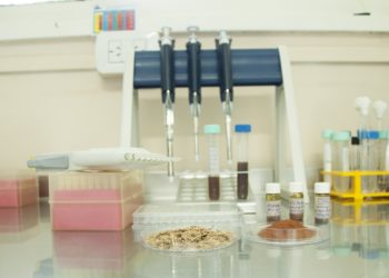 Flor de medalla para el INTA:  Recibió el premio al mejor invento de Latinoamérica