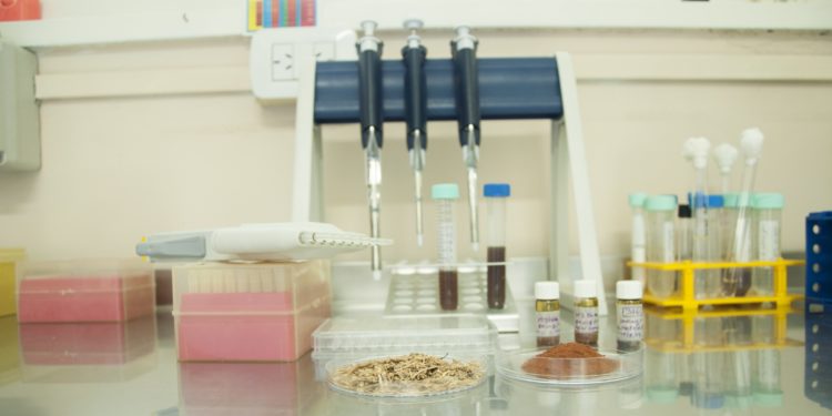 Flor de medalla para el INTA:  Recibió el premio al mejor invento de Latinoamérica