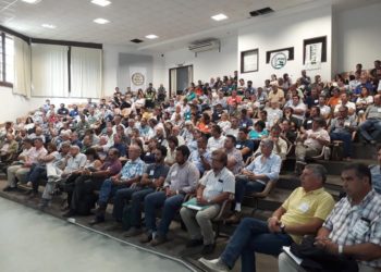 Fidel Cortese: “Los agrónomos no nos sentíamos representados por el viejo Colegio de Ingenieros”